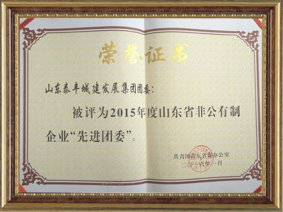 非公有制企業(yè)紅旗團委