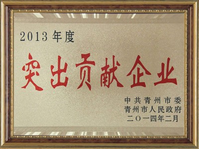 2013年度突出貢獻企業(yè)